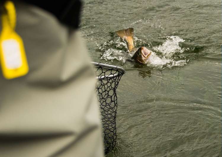 Address withheld Te Anau_4