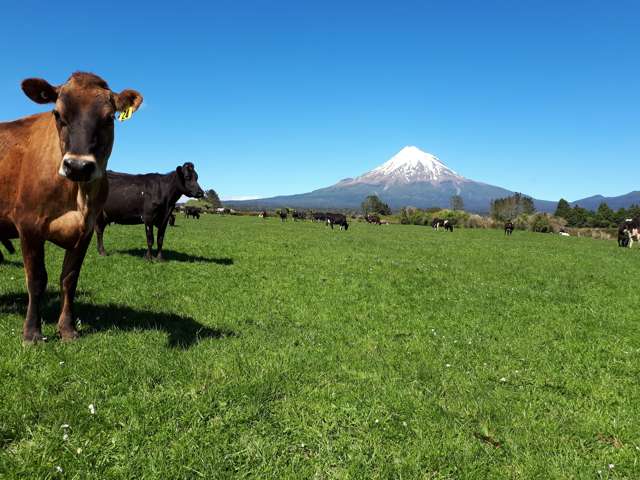 1971 Egmont Road Kaimiro_1