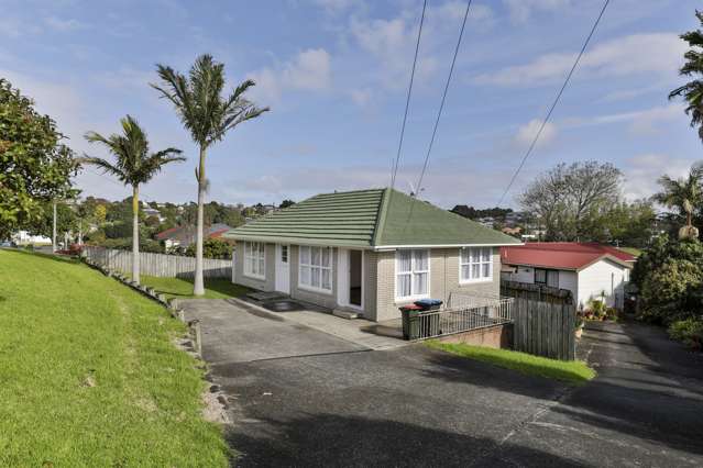 39 Fearon Avenue Mount Roskill_1