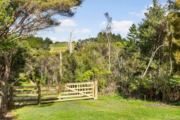 291 Horseshoe Bush Road Dairy Flat_19