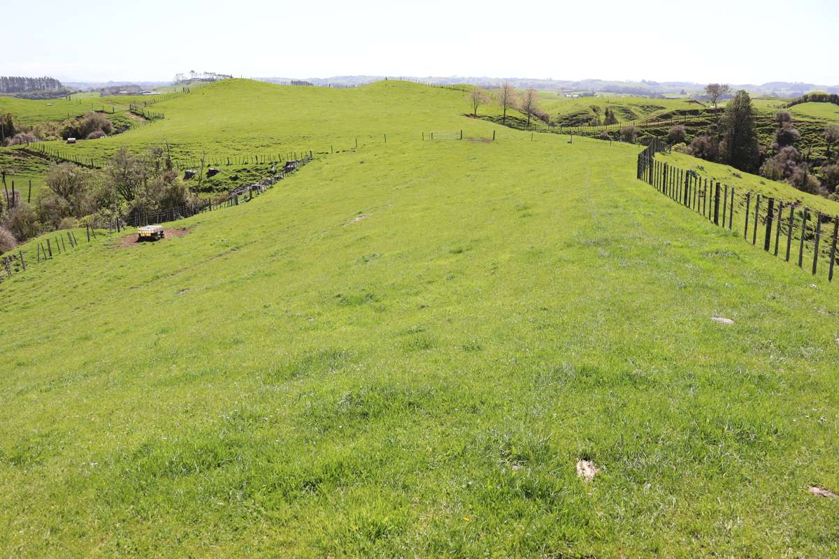 892 Tarata Road_3