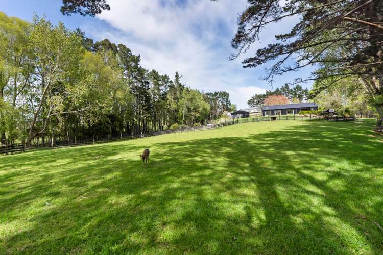 685 Inland Road Helensville_20