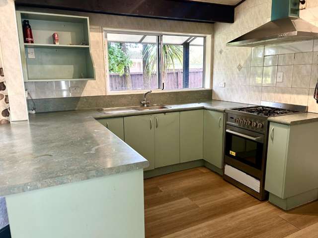 99 Springfield Road 1147_3