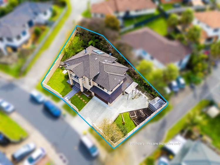 19 Waltham Street Henderson_34