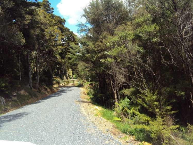 Hailes Road Whananaki_5