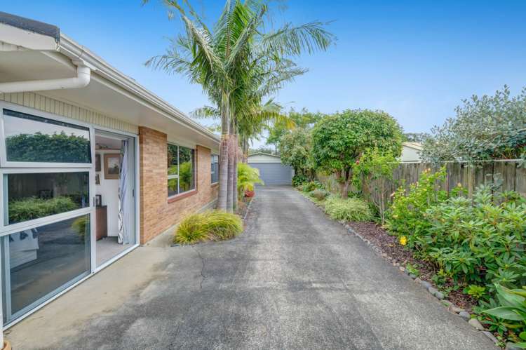 42B Manly Park Avenue Manly_2