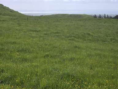 637 Upper Pitone Road_2