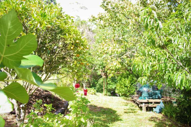 470 Tapu Coroglen Road Tapu_4