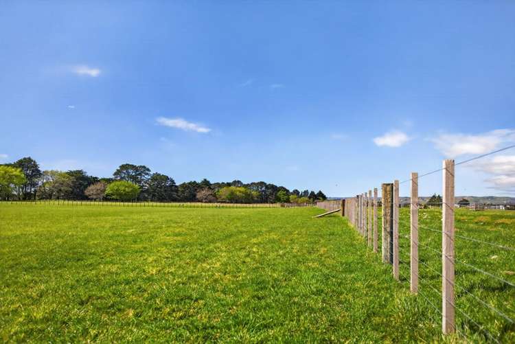 2 / 36A Spencer Lane Greytown_11