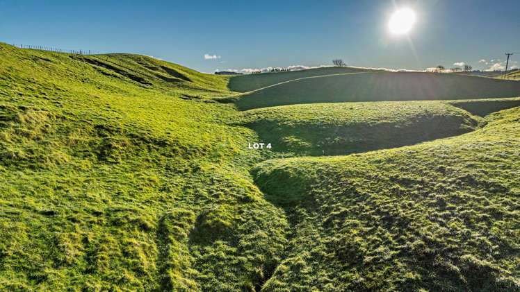 Lots 1 - 4, 2333 Puketitiri Road Rissington_15