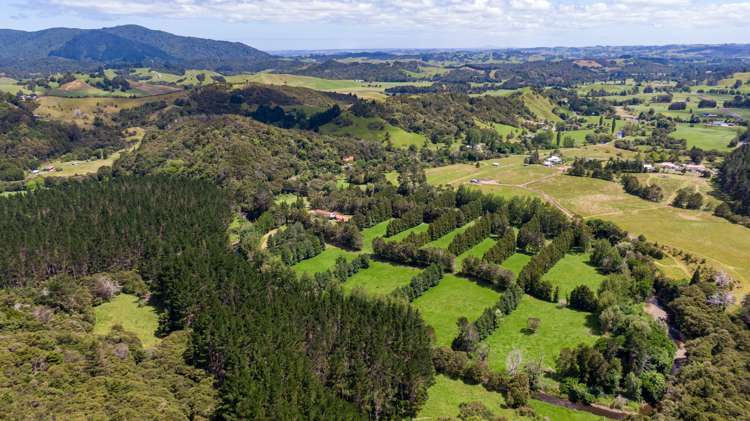 605 Takahue Road Takahue_33