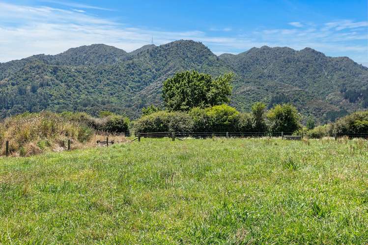 Stanley Road Te Aroha_8