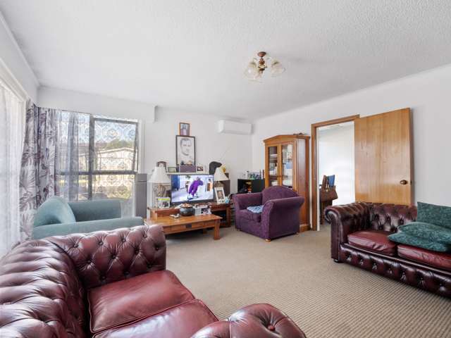 56 Webster Avenue Mount Roskill_4