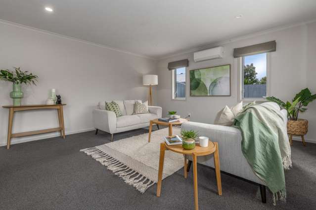 12A Guy Avenue Levin_1