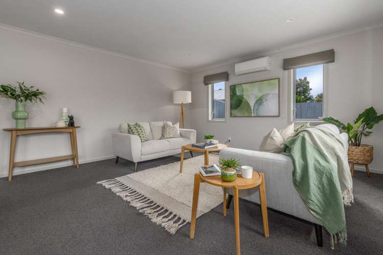 12A Guy Avenue Levin_1