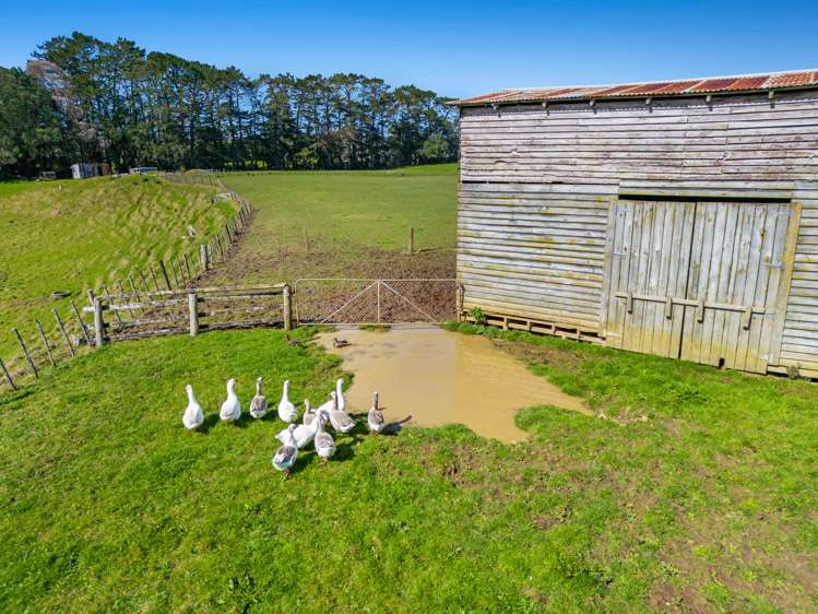 930 Coatesville-Riverhead Highway Riverhead_12