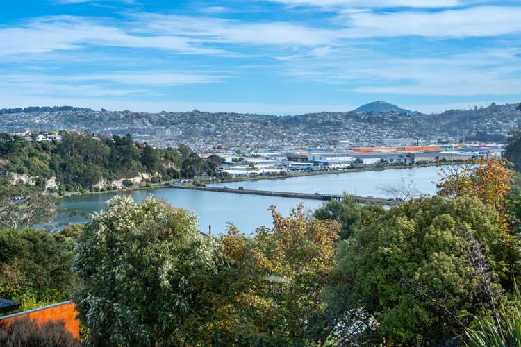 21 Belford Street Waverley_16