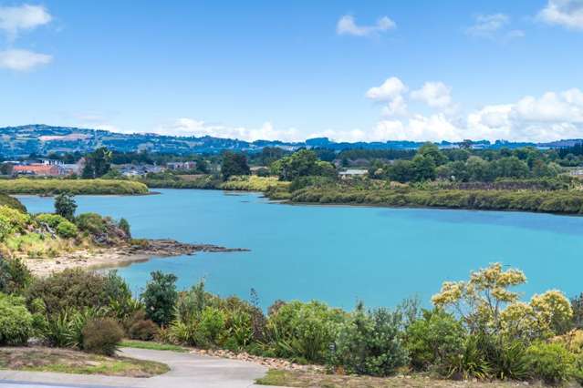 44 Taipahitini Road Rosehill_3