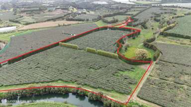 206 Casuarina Drive_2