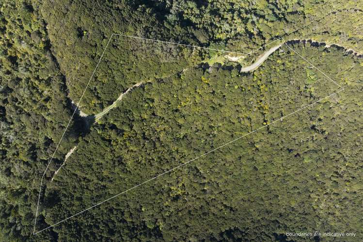 LOT 2 303 Waiaua Road Hihi_6