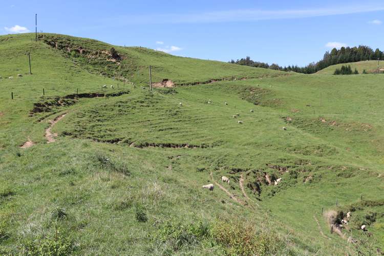 102 Manu Road Te Popo_31