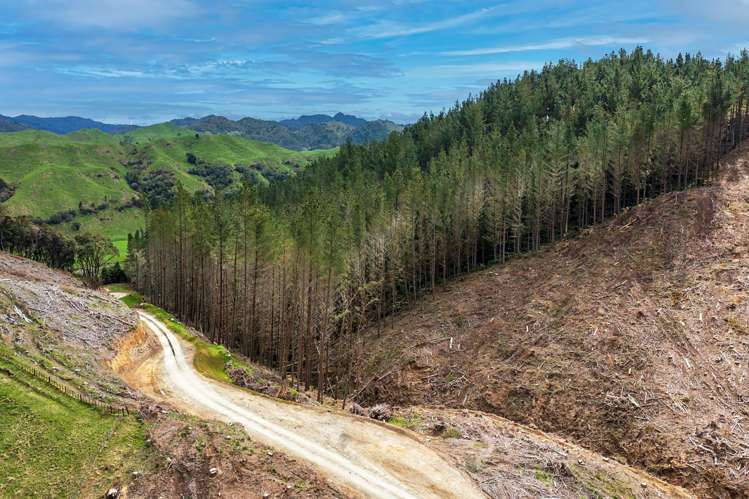 Lots 2-4, 14, 15, DP 9115 Motu Road Matawai_10