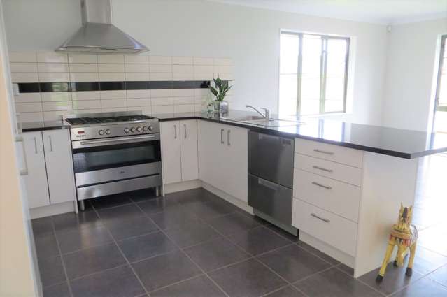 64 Ritchie Street Te Aroha_3