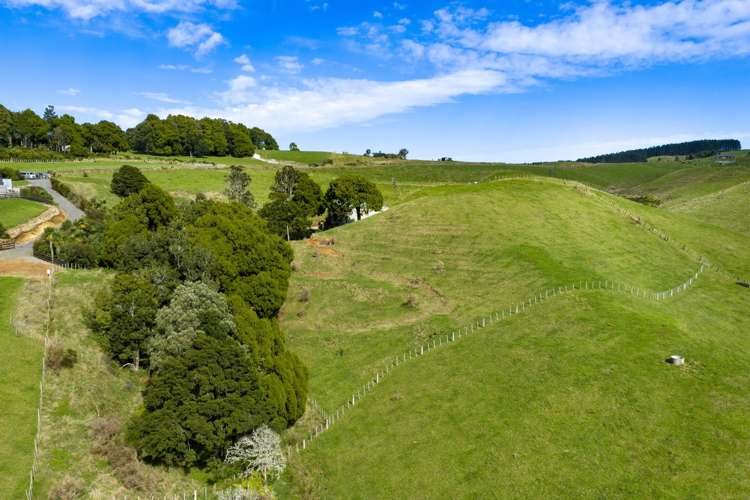 62 Cornes Road Raglan_25