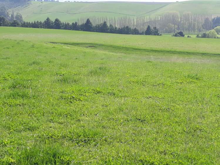 144 Tokarahi-Duntroon Road Five Forks and Surrounds_4