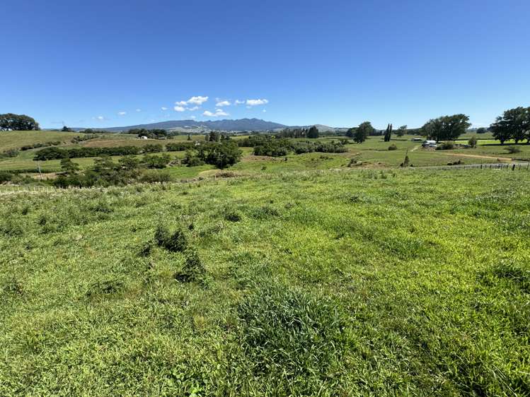 26 Cannon Road Otorohanga_6