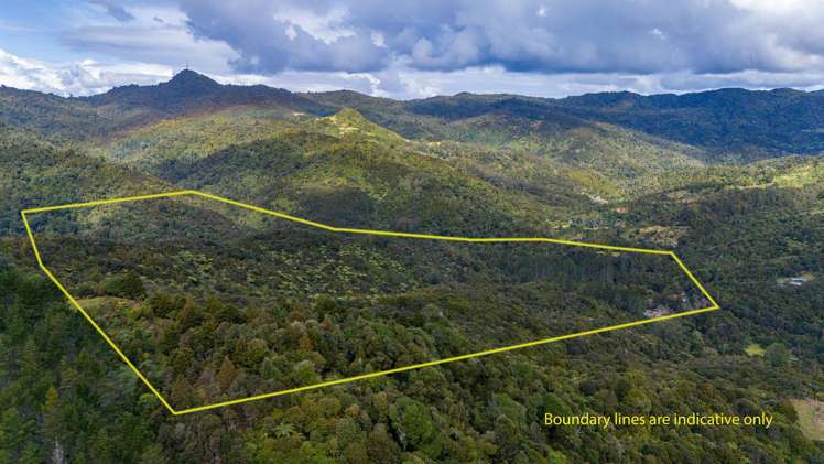 669 Honeymoon Valley Road Peria_11