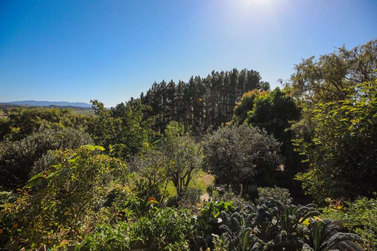 12 Long View Crescent Otorohanga_26