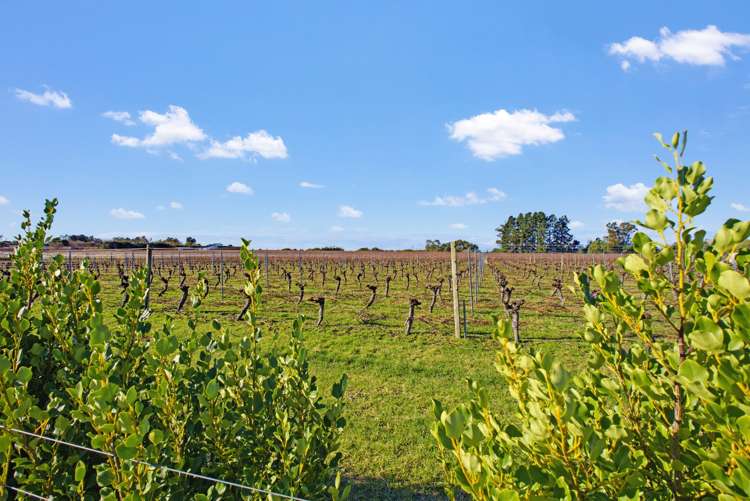 146 Lodder Lane Riwaka Motueka_29