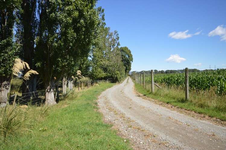 61 Seadown Road Washdyke_17