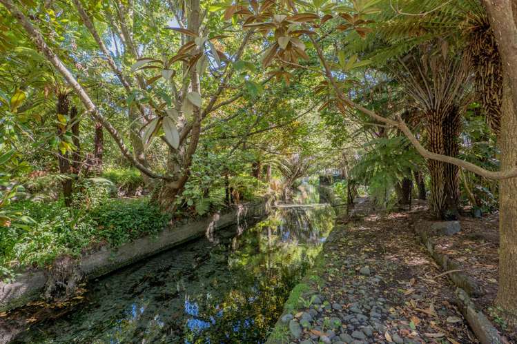 10 Royds Street Fendalton_43