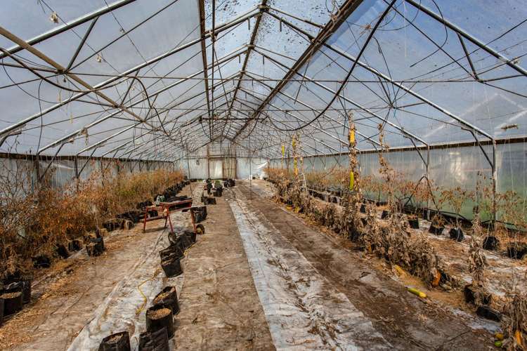 93 Boys Road Rangiora_7