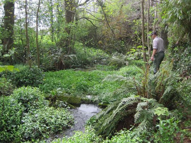 77 Main North Road Geraldine_29