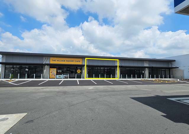 3/661 Te Rapa Road Te Rapa Park_1