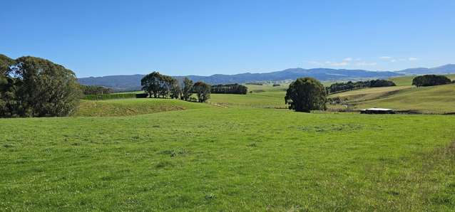 1550 Waimumu Road Te Tipua_2