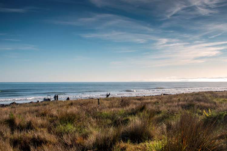 7 Rimu Rimu Key Opotiki and Surrounds_8