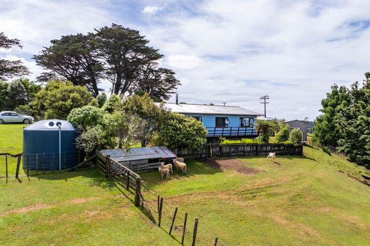 339 Mangatu Road Dargaville Surrounds_16