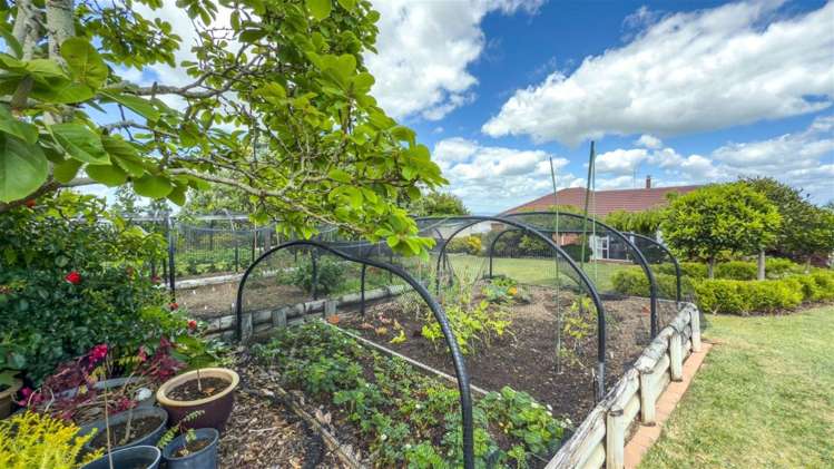 208 St Patrick's Row Thames_32