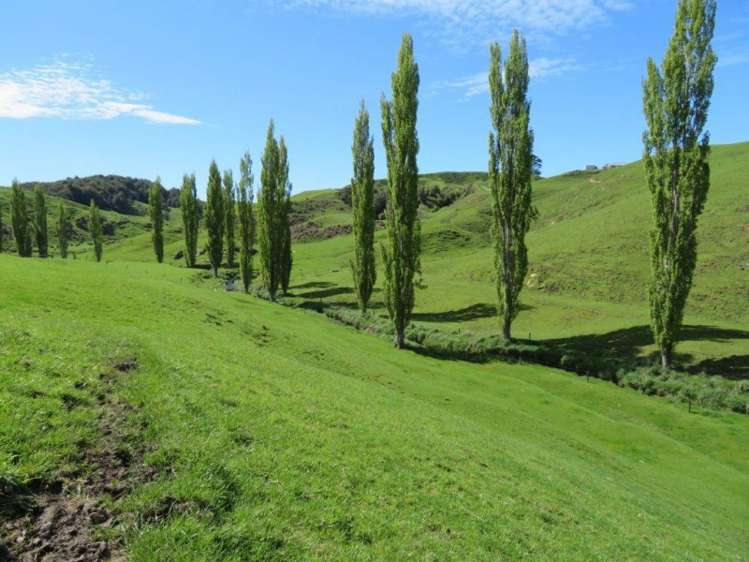 68 Kopaki Road Te Kuiti_20