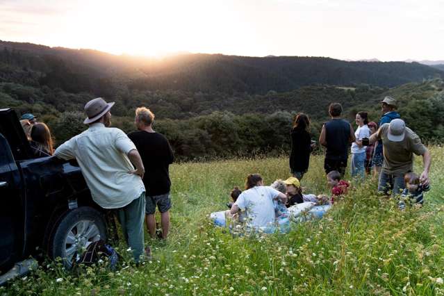 726d Ngunguru Ford Road Kiripaka_3