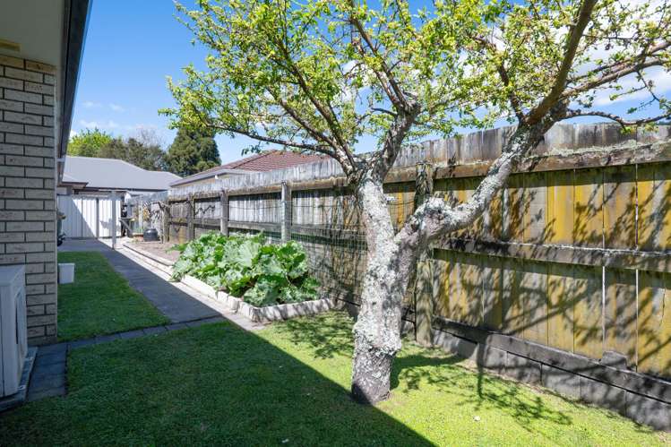 29 Caledonia Road Ngongotaha_19