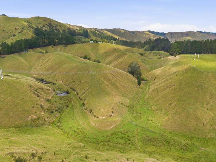 100 Heights Road Shannon_8