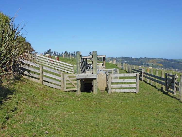 58 Cowan Road Pine Hill_3