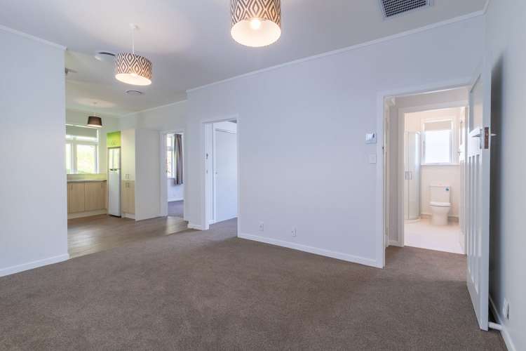 34B Adams Terrace Aro Valley_9