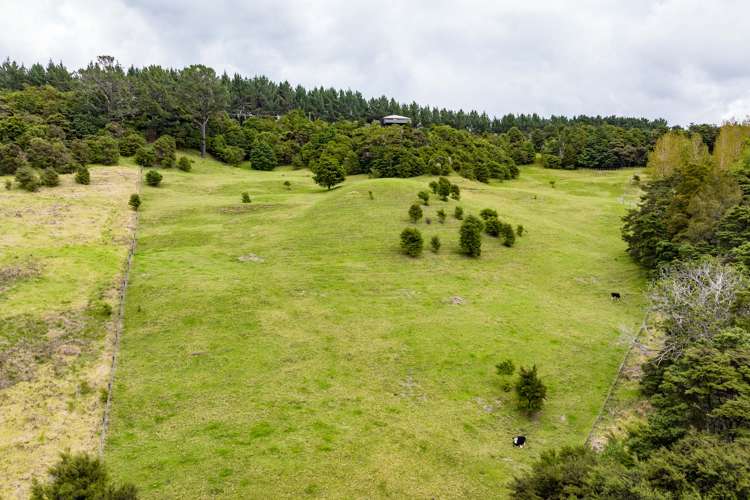 827 Tinopai Road Tinopai_37