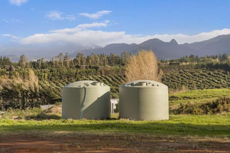 175 Busby Road Katikati_12